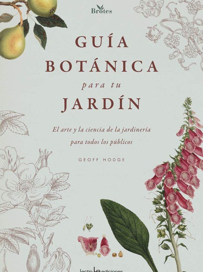 Descubre cómo iniciar tu propio jardín urbano: Introducción a la jardinería en la ciudad