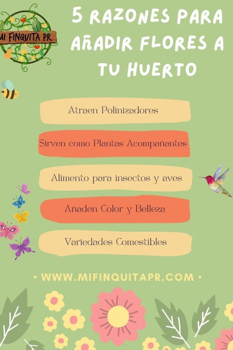 Descubre la belleza y el sabor en tu jardín: Plantas con flores comestibles