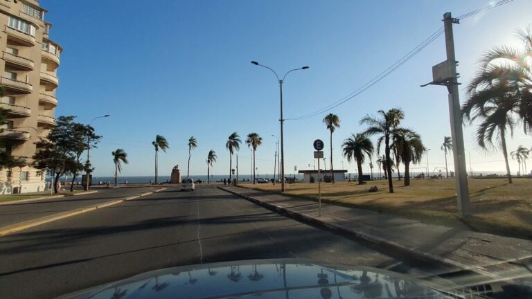 Todo lo que debes saber sobre qué se puede plantar en diciembre en Uruguay