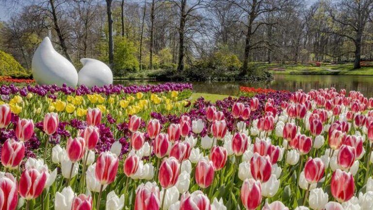 ¡Disfruta de un jardín colorido en primavera con estas flores!