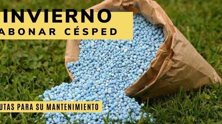 Duración del efecto del abono en un césped verde y saludable: consejos clave