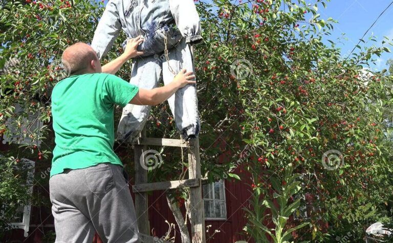 Guía completa: Cómo podar tus plantas de manera adecuada y efectiva