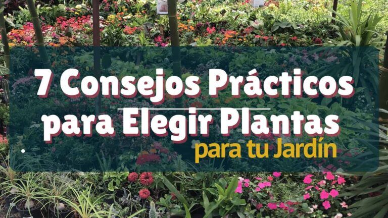 Guía para elegir el mejor fertilizante para tus plantas: consejos prácticos