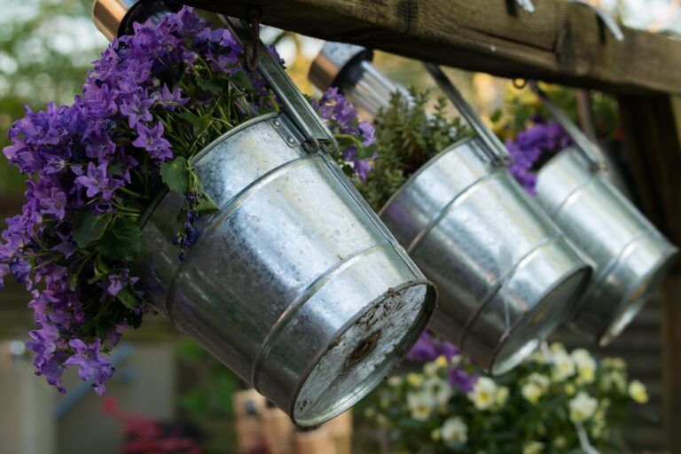 Guía paso a paso: Cómo crear un jardín de plantas para atraer y proteger a las abejas