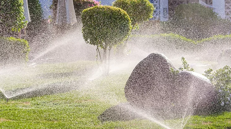 Guía práctica: cómo ahorrar agua utilizando sistemas de riego por goteo en tu jardín