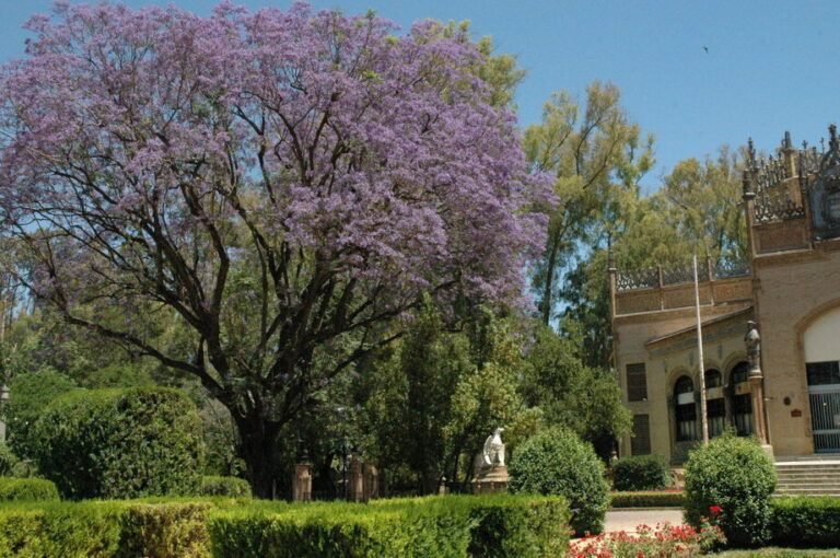 guia practica de como proteger tus plantas del ataque de animales salvajes en el jardin