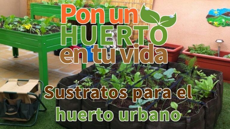 Guías completas de jardinería para principiantes: consejos esenciales para comenzar tu huerto