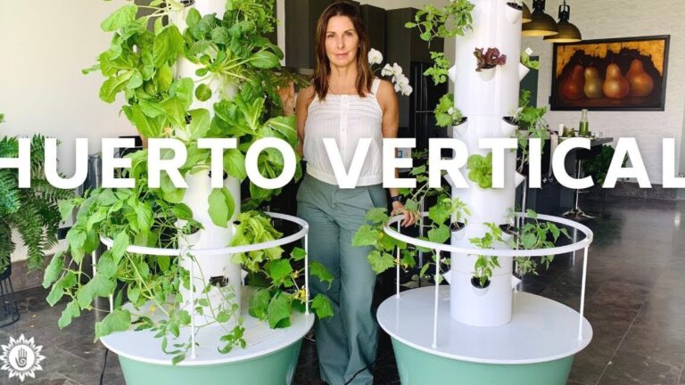 Descubre qué se puede plantar en un huerto vertical: tips y recomendaciones