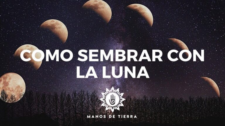 Descubre qué se puede plantar en luna nueva con éxito