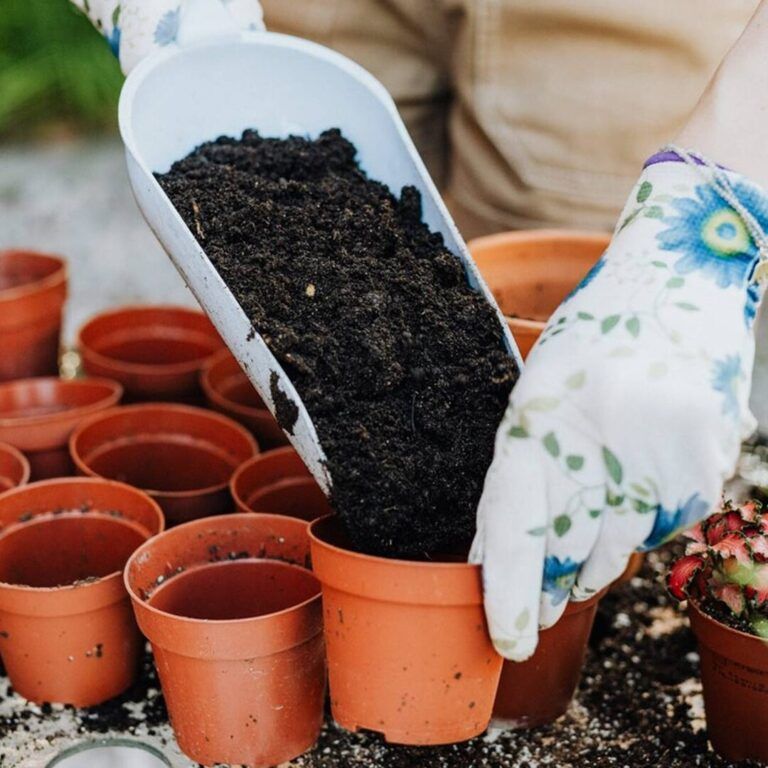 Siembra la primavera en tu huerta: qué plantar en abril