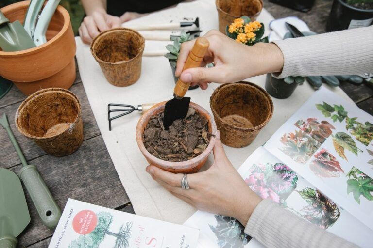 Todo lo que necesitas saber para sembrar y cultivar tus propias plantas aromáticas desde semillas