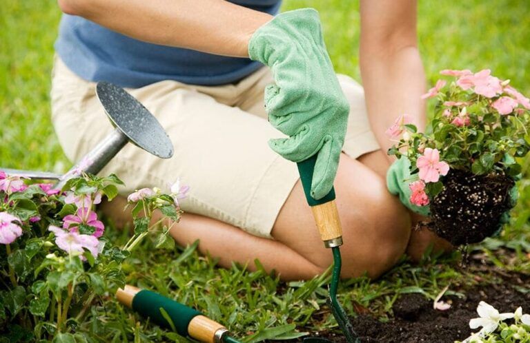 Todo lo que necesitas saber sobre los serruchos de poda para un corte perfecto en tu jardín